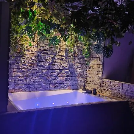 Apartman Jungle Jacuzzi Prive Evasion En Amoureux Cannes