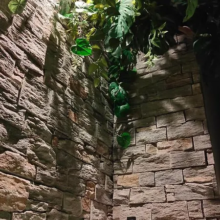 Apartman Jungle Jacuzzi Prive Evasion En Amoureux *