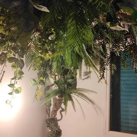 Jungle Jacuzzi Prive Evasion En Amoureux Apartman Cannes