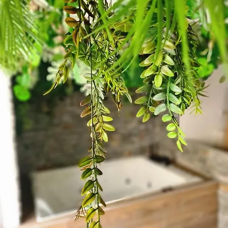 Jungle Jacuzzi Prive Evasion En Amoureux Apartman *