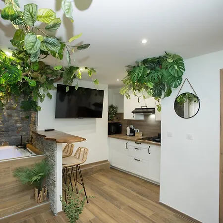 Jungle Jacuzzi Prive Evasion En Amoureux Cannes