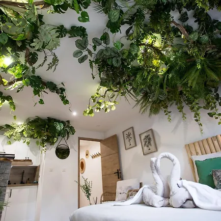 Jungle Jacuzzi Prive Evasion En Amoureux * Cannes