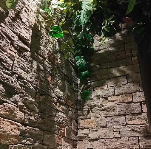 Apartmán Jungle Jacuzzi Prive Evasion En Amoureux *