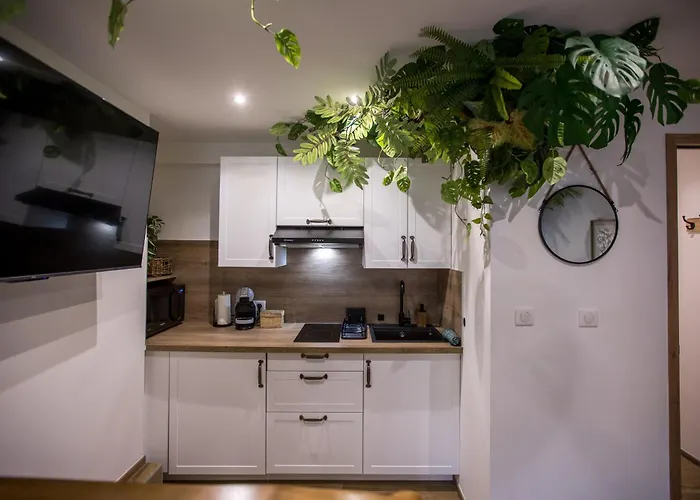 Apartmán Jungle Jacuzzi Prive Evasion En Amoureux