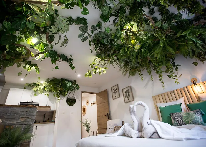 Jungle Jacuzzi Prive Evasion En Amoureux * Cannes